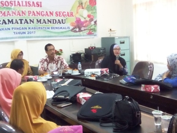 Dinas Ketahanan Pangan Bengkalis Sosialisasikan Mutu Pangan