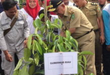 Selamatkan Hutan, Gubernur Riau dan Masyarakat Tanam 25 Ribu Pohon