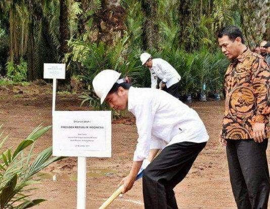Program PSR, Tiga KUD Di Rokan Hulu Peroleh Rp. 57,1 Miliar