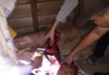 Diduga Karena Dibunuh, Seorang Pedagang Sepatu Tewas Bersimbah Darah