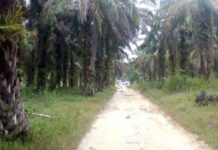 Standar Nilai Ganti Rugi Lahan Jalan Tol Kandis – Dumai Dipertanyakan