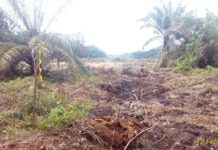 Soal Ganti Rugi Lahan Jalan Tol Kandis-Dumai, Pimpinan KJPP Cabang Pekanbaru “Tertutup” Untuk Media