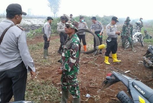 TNI-Polri Bersinergi Padamkan Api di Rokan Hilir