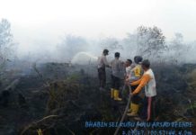 200 Hektare Lahan Terbakar di Rokan Hilir