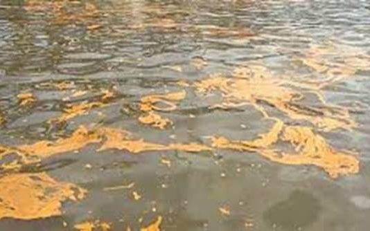 Terkait Tumpahan CPO di Dermaga B, Pihak KSOP Dumai Mengaku Hanya Pembersihan dan Pencegahan