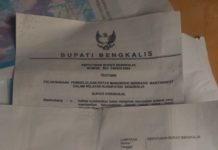 Team Polhut Riau Bergeming, Sejumlah Peralatan Pelaku Perambah Hutan Mangrove Pulau Bengkalis Disita