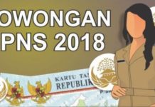 Penerimaan CPNS Pemprov Riau 2018, Ini Rincian Formasi Lengkapnya
