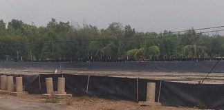 Perambah Hutan Mangrov Tak Tersentuh Hukum, Gakum Kementerian LHK dan Dinas LHK Riau Diduga “Masuk Angin”