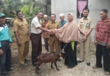 PT Sari Dumai Sejati Serahkan Bantuan Ternak Kambing Untuk Warga Kelompok Tani