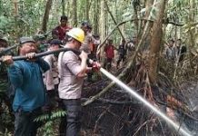 Hingga Awal Maret 2020, Polda Riau Amankan 37 Tersangka Karhutla