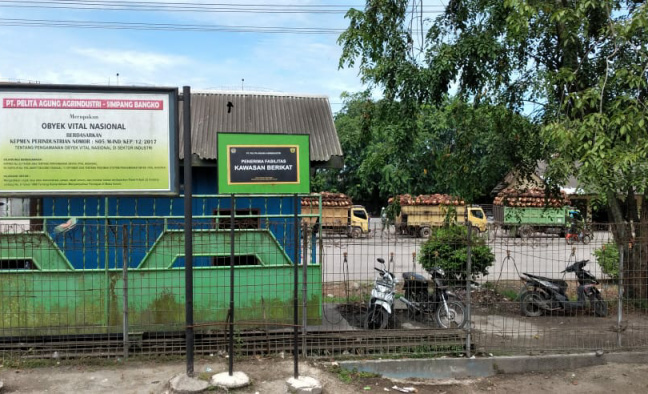 PKS PT PAA Dilaporkan Ke Kemen LH RI Terkait Pencemaran Lingkungan