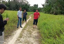 Kades Diduga Tak Transparan” Sengkerawut Penggunaan Dana Desa Dan Pembangunan Desa Pangkalan Serik