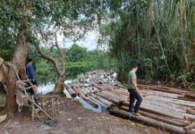 Negara Hadir Tak Boleh Kalah Dari Kejahatan, Polda Riau Amankan Mafia Kayu Komplotan Anak Jenderal