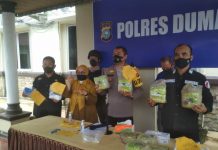 Satnarkoba Polres Dumai Bekuk Pengedar Sabu 8,3 Kg Sabu