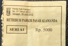 Kades Mengaku Tak Tahu” Retribusi Parkir di Pasar Alamanda Desa Indra Sakti Tapung Diduga Kangkangi Perda
