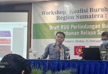 KBS Inisiasi RUU Perlindungan Buruh Kelapa Sawit
