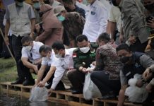Untuk Kesejahteraan Masyarakat, Bupati Kampar Dan Sekjen Kementerian KKP RI Tabur 95 Ribu Bibit Ikan