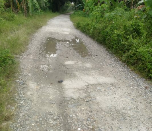 Sebulan Jelang Lengser, Bupati Catur Dapat Komentar Pedas Warga Pulau