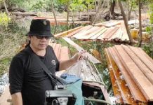 Pembalakan Liar Di Suaka Margasatwa Teluk Meranti Marak, ARIMBI Minta Polda Riau Melakukan Penegakkan Hukum