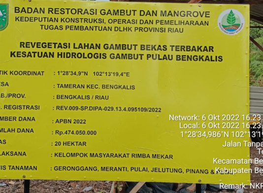 Revegetasi Lahan Gambut Pulau Bengkalis Disinyalir Sarat Penyimpangan