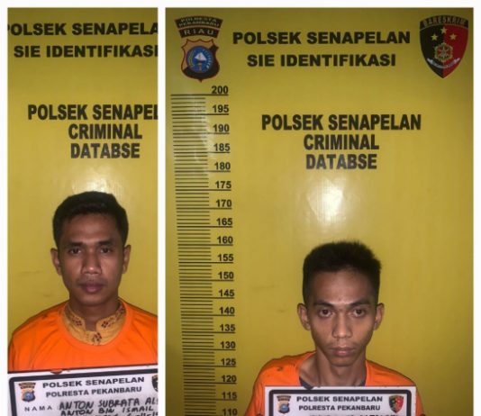 Tim Opsnal Jembalang Kepolisian Sektor Senapelan Polresta Pekanbaru Tangkap Dua Pegawai Karoke Keyza