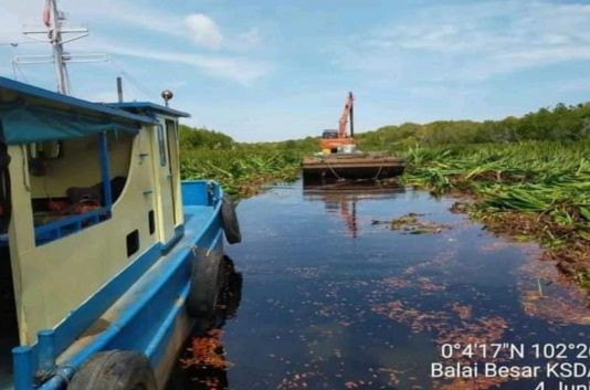 Pencucian Sungai Kerumutan, “Niat Baik Bupati Pelalawan Melawan Hukum, ARIMBI Siapkan Laporan”