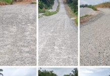 DPP-SPKN : Proyek Peningkatan 11 Ruas Jalan Dalam Kota Pelalawan Terindikasi Rugikan Uang Negara