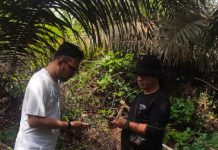 ARIMBI Pertanyakan Integritas Polisi Terkait Laporan Diduga Pemilik Kebun Dalam Kawasan Hutan