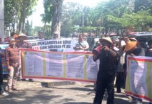 Puluhan Petani Sawit Desa Dayun, Koto Gasip Dan Sengkemang Demo Di Depan Kantor Gubri