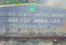 Dikonfirmasi Terkait Temuan BPK RI, Kadis Pertanian Kabupaten Langkat Bungkam