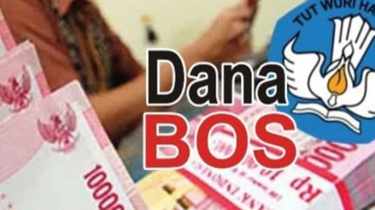 Kacab Disdik Stabat : Mading Penggunaan Dana BOS Wajib Dipasang Dalam Sekolah