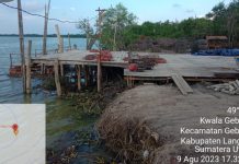 Laporan Dugaan Perambahan Hutan Dinilai “Jalan Ditempat,” Ketua LSM REAKSI Akan Laporkan Ke Kompolnas Dan Ombudsmen Sumut