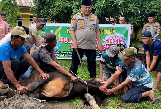 Polres Langkat Sembelih Hewan Kurban 9 Ekor Lembu dan 8 Ekor Kambing