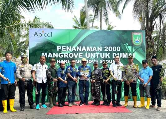 Apical Gandeng Pemko Dumai Dan Komunitas Gelar Aksi Penanaman 2.000 Mangrove Di Pantai Taisan