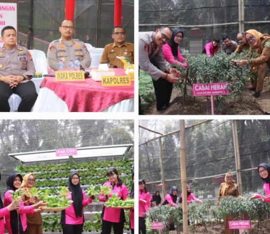 Polres Langkat Ikuti Launching Program P2L Ketahanan Pangan Nasional