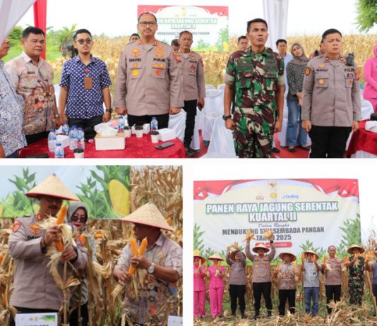 Kapolres Langkat Pimpin Panen Raya Kuartal II 2025 Secara Virtual