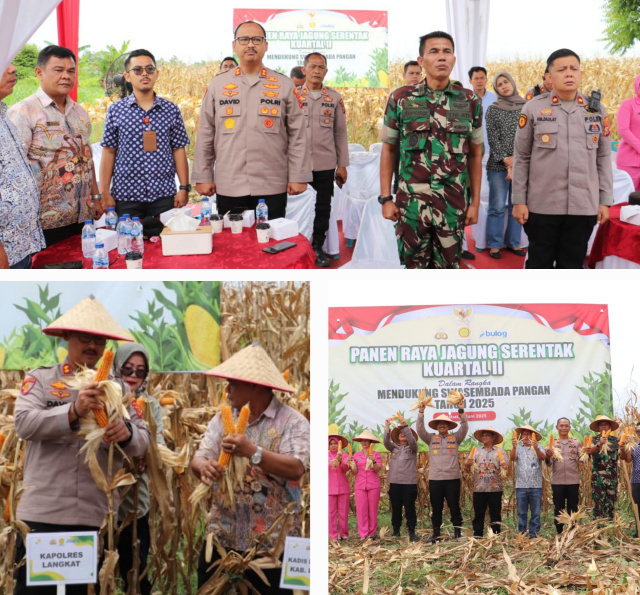 hingga masa tua (18)