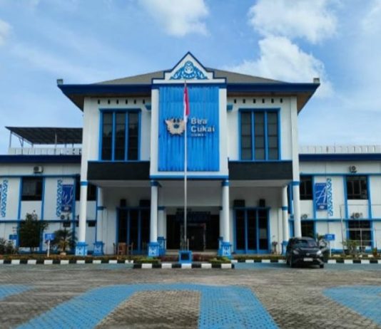 Penerimaan Negara Melampaui Target, Bea Cukai Dumai Bukukan Rp 3,59 Triliun Bukti Kekuatan Ekspor Sawit RI