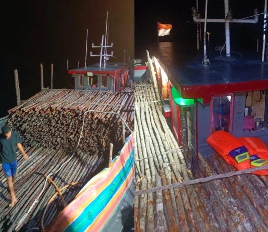 Satgas Patroli Laut Terpadu Bea Cukai Tangkap Dua Kapal Bermuatan Kayu Bakau 6800 Batang dan PMI 13 Orang