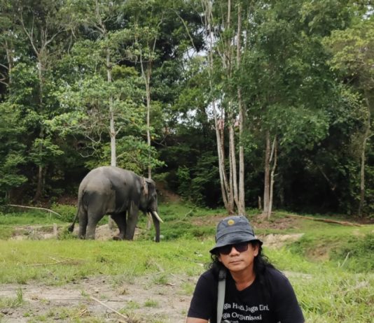 Rumah Gajah Tercemar, ARIMBI Minta Kapolda Turun Tangan