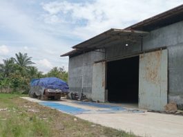 2.000 Ton Beras Bulog Dibongkar di Pelabuhan Pelindo Dumai, Pihak Bulog Dumai Mengaku Tidak Mengetahui