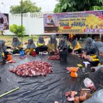 Pererat Solidaritas, PWMOI Riau dan DNT Tour and Travel Gelar Kuban Sembelih 4 Ekor Sapi