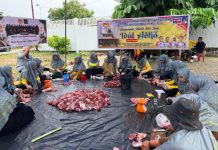 Pererat Solidaritas, PWMOI Riau dan DNT Tour and Travel Gelar Kuban Sembelih 4 Ekor Sapi