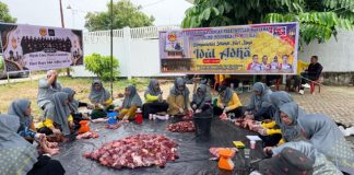 Pererat Solidaritas, PWMOI Riau dan DNT Tour and Travel Gelar Kuban Sembelih 4 Ekor Sapi
