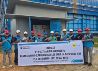 Jelang HUT ke-81 RI, PLN UP3 Dumai Nyalakan Listrik 9.690 kVA untuk PT Pelita Agung Agrindustri